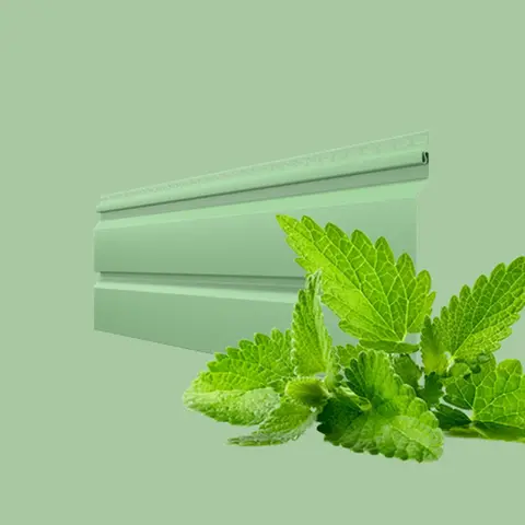 Мелисса Мелисса-мини