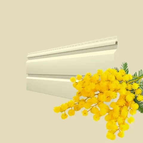 Мимоза Мимоза-мини