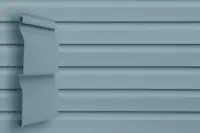 голыбой-мини