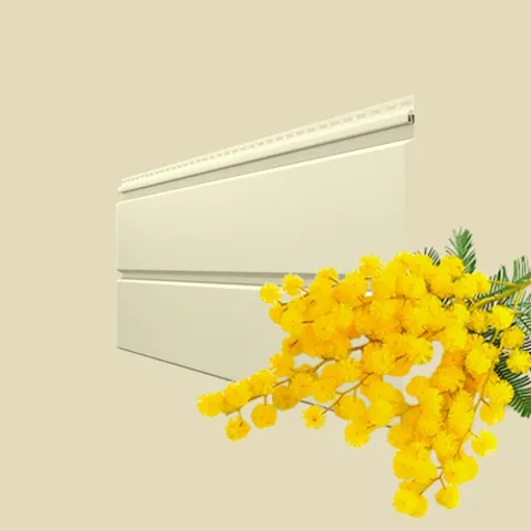 Мимоза-мини