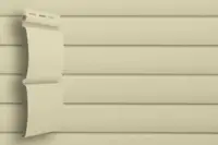 Слоновая кость Слоновая кость.webp