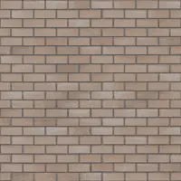 Каталонский-мини