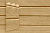 Клен Клен-мини